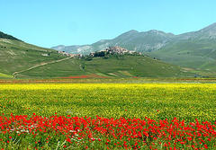 Altopiano del Castelluccio